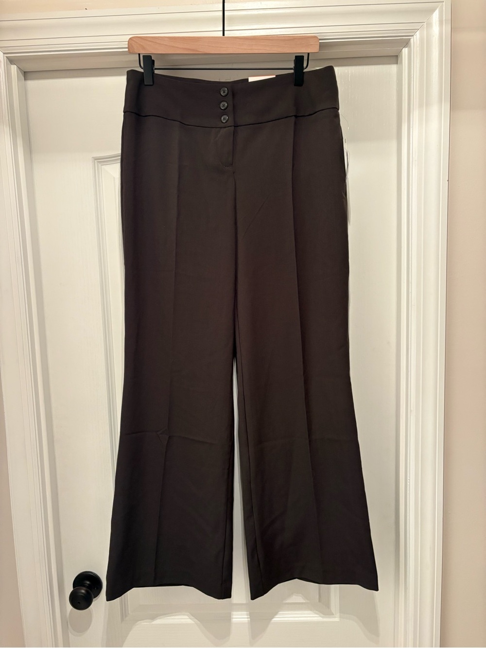 Women’s Style & Co Wide Leg Mid-Rise dress pants in dark forest size 8S NWT - Picture 1 of 7